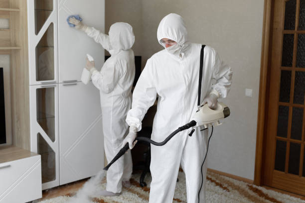 24/7 Emergency Blood Cleanup experts in Kurtistown, HI