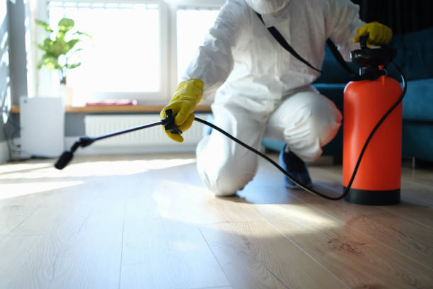 Reliable Blood Cleanup contractor in Kurtistown, HI by Trauma Clean Pros